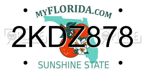2KDZ878 Florida License Plate