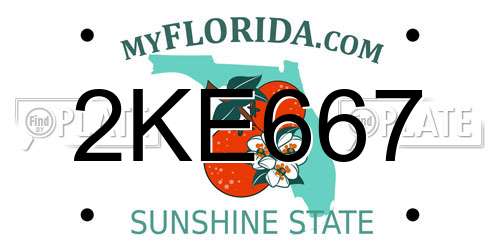 2KE667 Florida License Plate