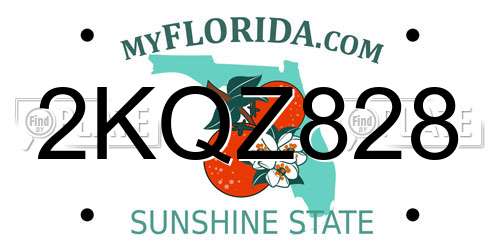 2KQZ828 Florida License Plate