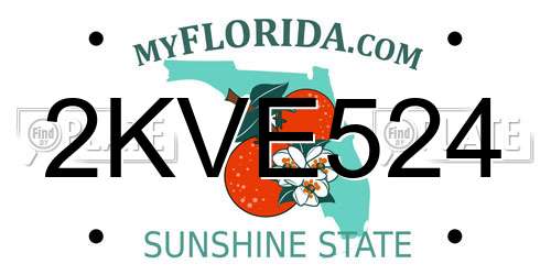 2KVE524 Florida License Plate
