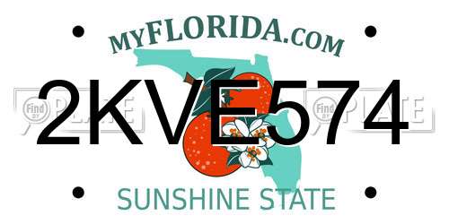 2KVE574 Florida License Plate