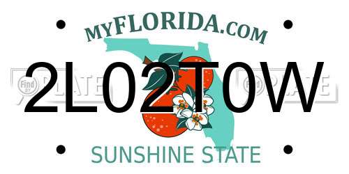 2L02T0W Florida License Plate