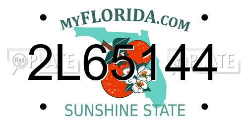2L65144 Florida License Plate