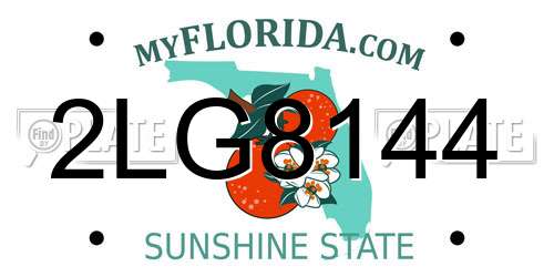 2LG8144 Florida License Plate