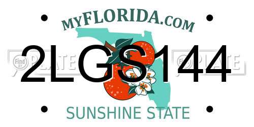 2LGS144 Florida License Plate