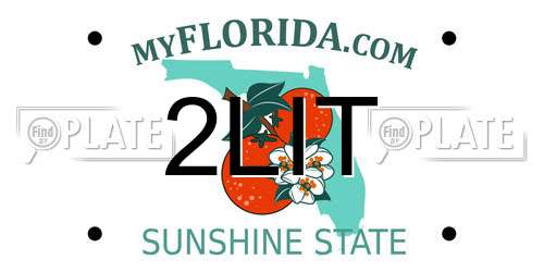 2LIT Florida License Plate