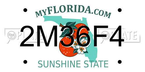 2M36F4 Florida License Plate