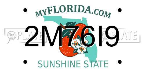 2M76I9 Florida License Plate