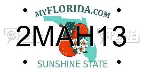 2MAH13 Florida License Plate