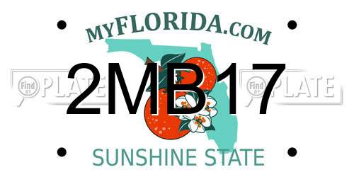 2MB17 Florida License Plate