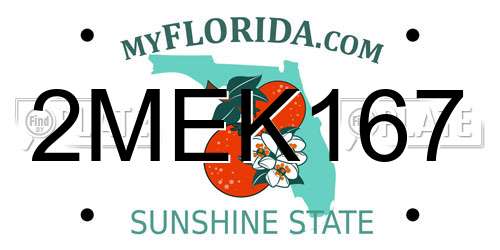 2MEK167 Florida License Plate
