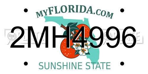 2MH4996 Florida License Plate