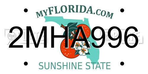2MHA996 Florida License Plate