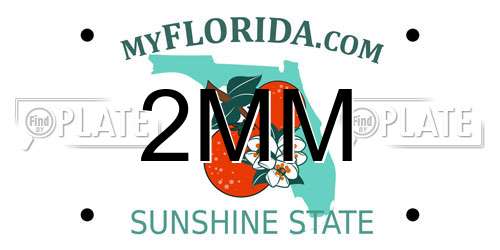 2MM Florida License Plate