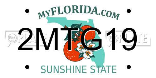 2MTG19 Florida License Plate