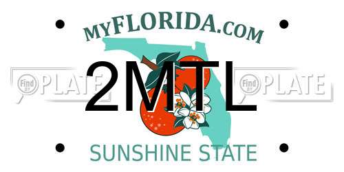 2MTL Florida License Plate
