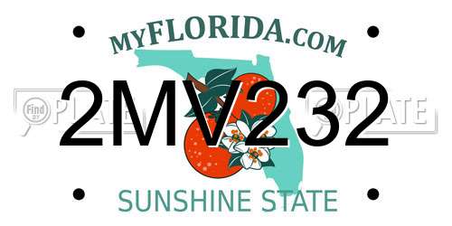 2MV232 Florida License Plate