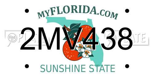 2MV438 Florida License Plate