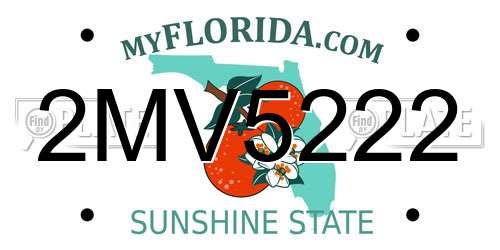 2MV5222 Florida License Plate