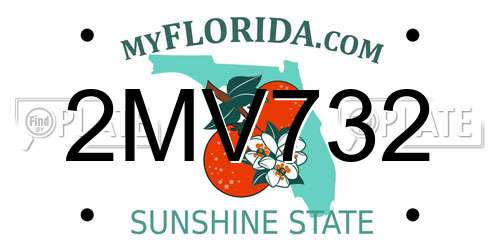 2MV732 Florida License Plate
