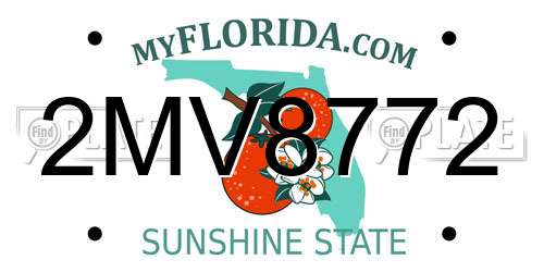 2MV8772 Florida License Plate