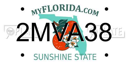 2MVA38 Florida License Plate