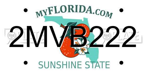 2MVB222 Florida License Plate