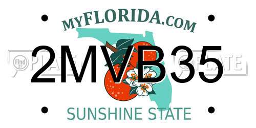 2MVB35 Florida License Plate