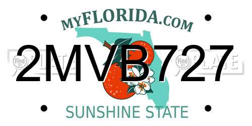 2MVB727 Florida License Plate