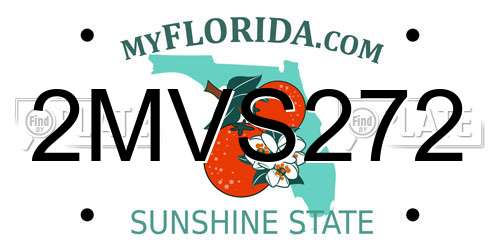 2MVS272 Florida License Plate