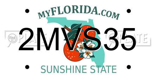 2MVS35 Florida License Plate