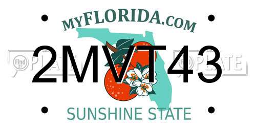 2MVT43 Florida License Plate