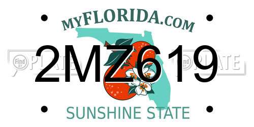 2MZ619 Florida License Plate