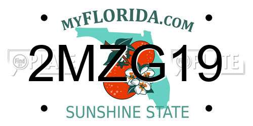 2MZG19 Florida License Plate