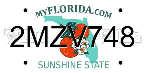 2MZV748 Florida License Plate