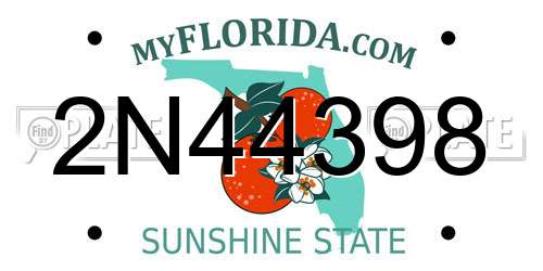 2N44398 Florida License Plate