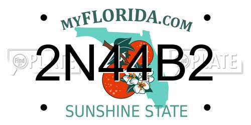 2N44B2 Florida License Plate