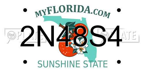 2N48S4 Florida License Plate