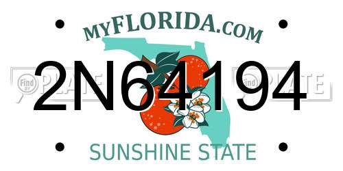 2N64194 Florida License Plate
