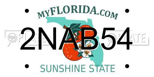 2NAB54 Florida License Plate