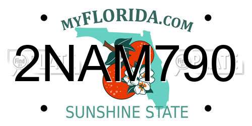2NAM790 Florida License Plate