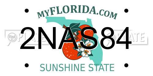 2NAS84 Florida License Plate