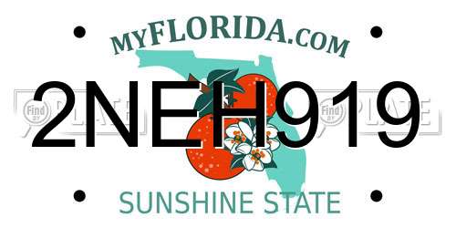 2NEH919 Florida License Plate