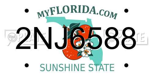 2NJ6588 Florida License Plate
