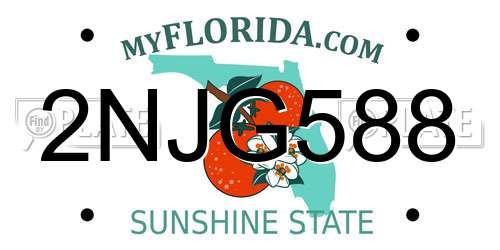 2NJG588 Florida License Plate