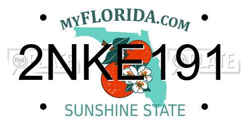 2NKE191 Florida License Plate