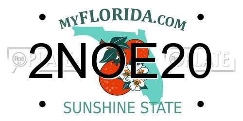 2NOE20 Florida License Plate