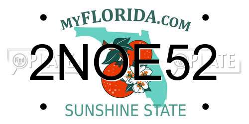 2NOE52 Florida License Plate