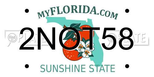 2NOT58 Florida License Plate