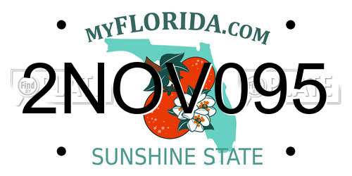2NOV095 Florida License Plate